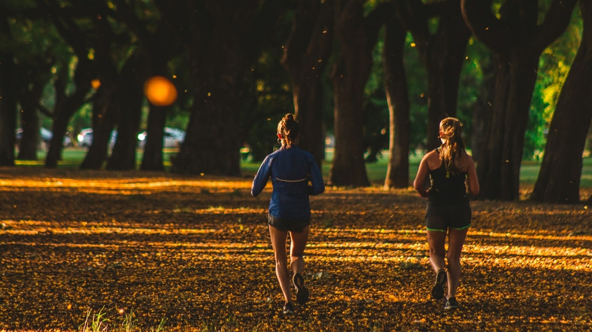 Bewegt im Park: Konditionstraining