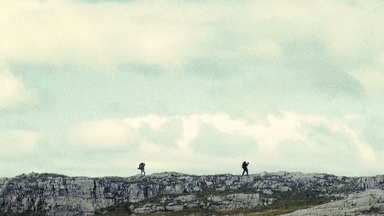 THE NORTH