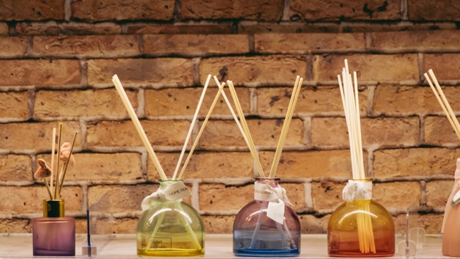 Ansichtssache. Menschliche Präparate im Museum