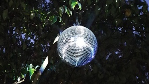 Elektronischer Wintergarten