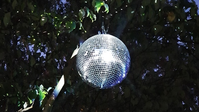 Elektronischer Wintergarten