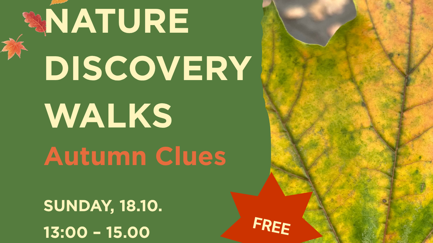 Nature Discovery Walks: Autumn Clues
