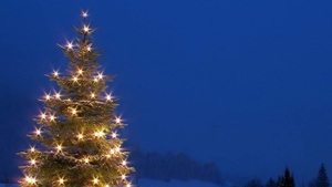Weihnachtskonzert  des Gerda-Taro-Gymnasiums
