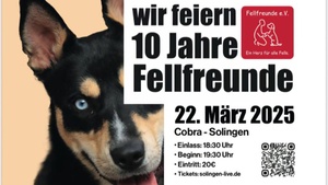 10 Jahre Fellfreunde e.V. Jubiläum