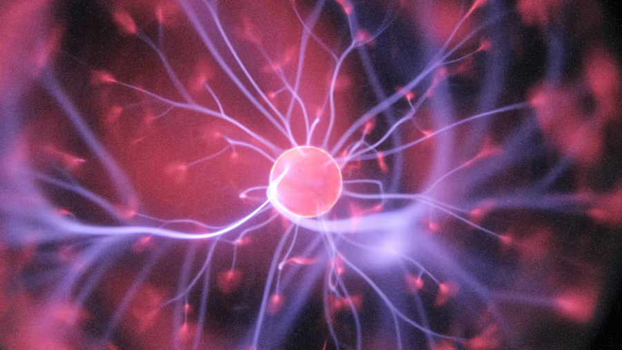 COSMO Wissenschaftsforum