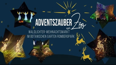 Adventszauber am Zoo - Rombergpark 2026
