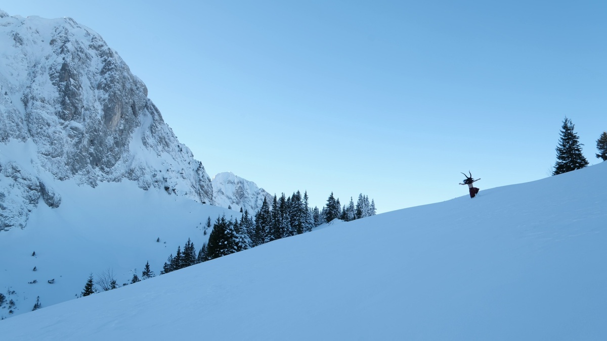 Alexander Wenzlik \u002D asperformance