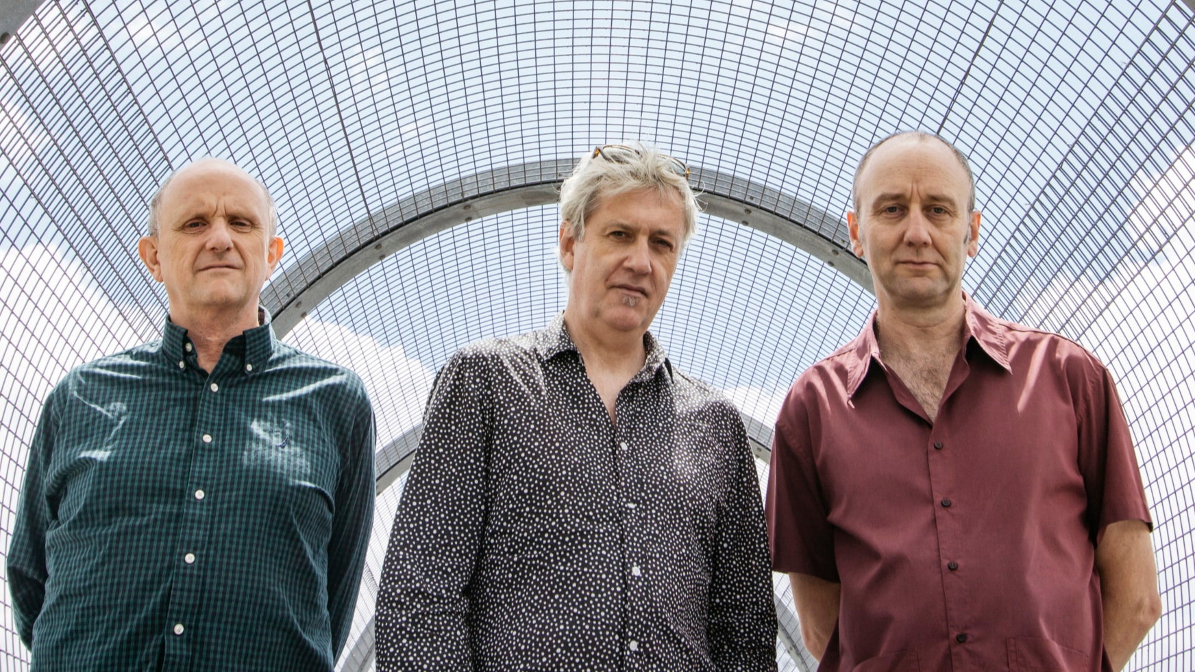 Foggy Notion: The Necks