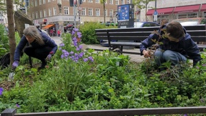 Mittwochs-Garteln am Reichenbachplatz