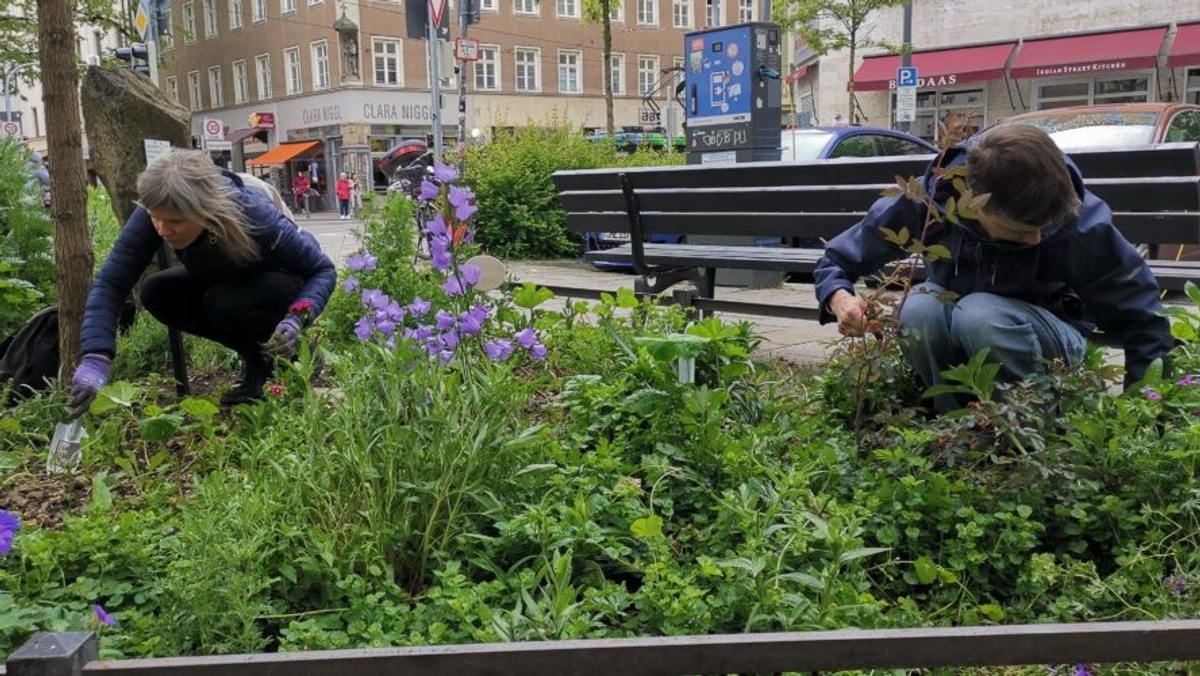 Mittwochs-Garteln am Reichenbachplatz