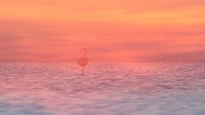 Fotoausstellung "Malen mit der Kamera"