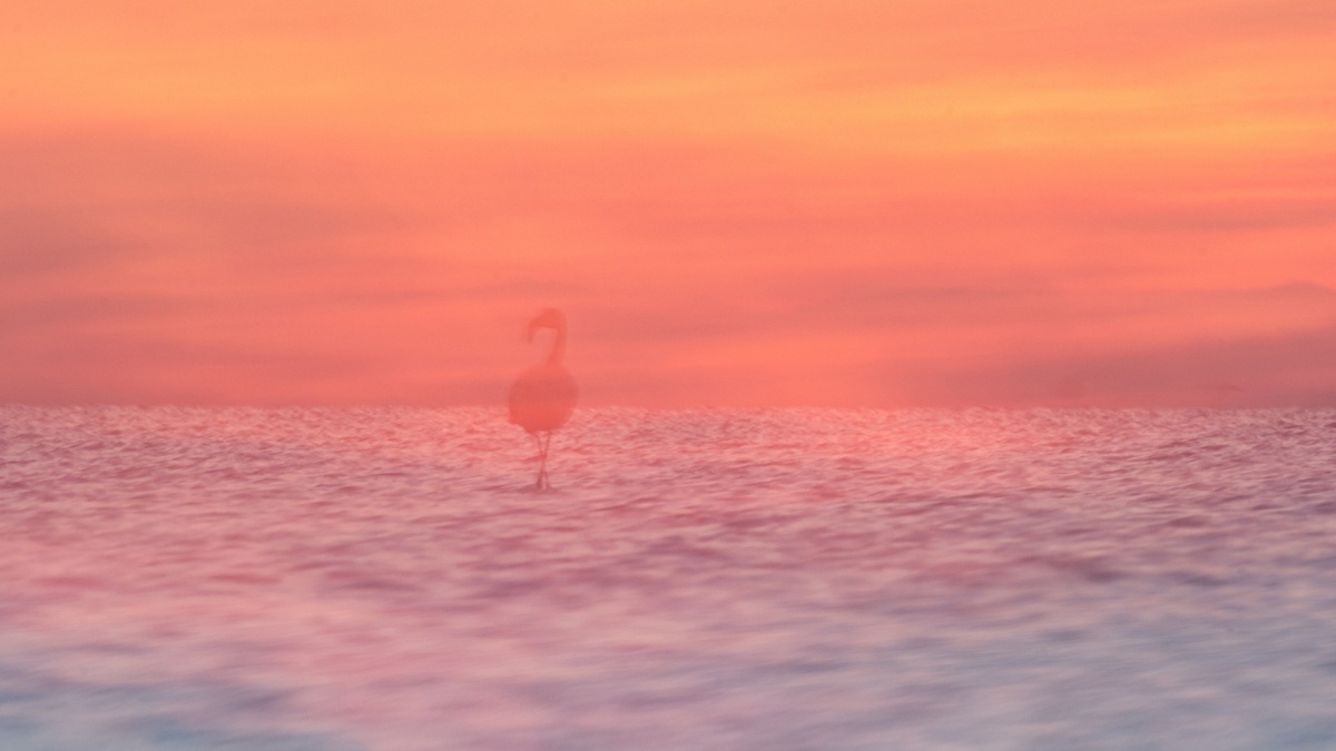 Fotoausstellung "Malen mit der Kamera"