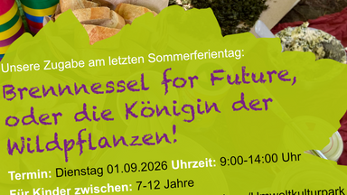 Brennnessel for Future, oder die Königin der Wildpflanzen
