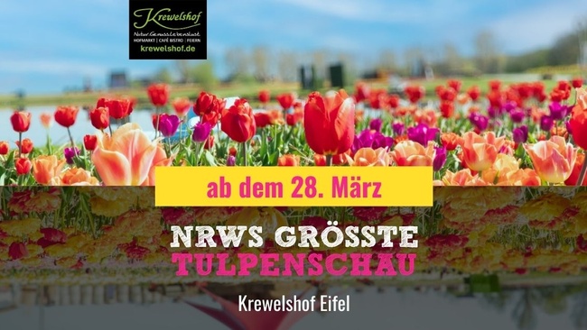 NRWs größte Tulpenschau 2026