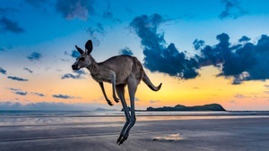 Australien | Ein Jahr Freiheit.