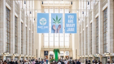 Mary Jane 2026