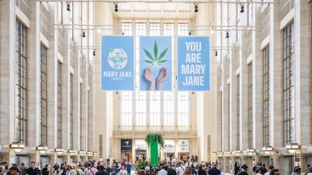 Mary Jane 2026