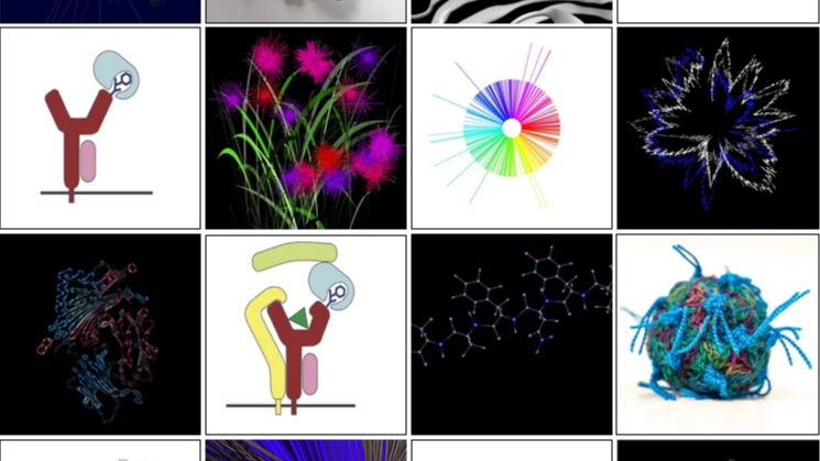 Wissenschaft trifft Kunst – Biochemie trifft Kreativität: Von Zellen, Viren und Proteinen