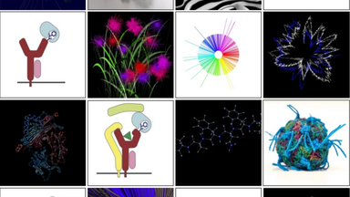 Wissenschaft trifft Kunst – Biochemie trifft Kreativität: Von Zellen, Viren und Proteinen