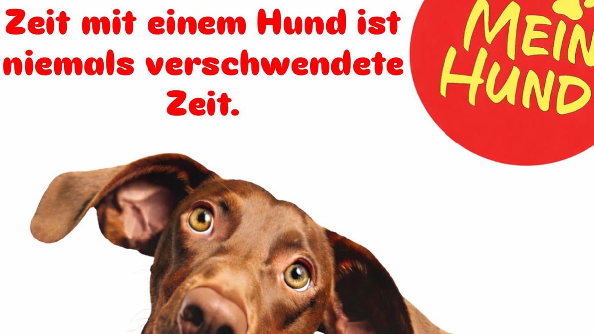 Die Messe rund um den Hund