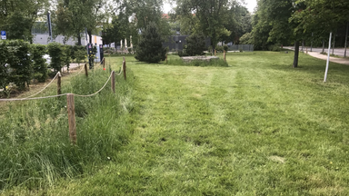 Botanische Exkursion auf unsere Maßnahmefläche Gret-Palucca-Straße