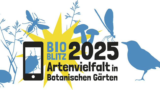 Bioblitz – Artenvielfalt entdecken