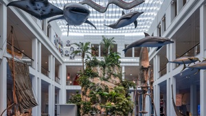 Yoga im Museum – Mind Flow & Meditation