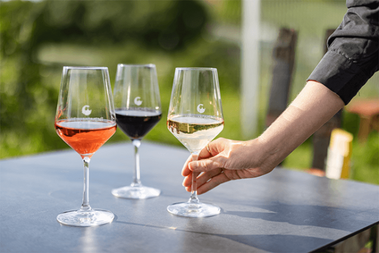Weintasting durch Europa