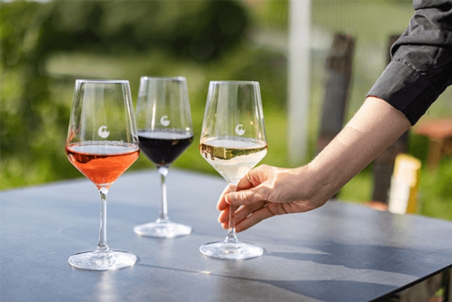 Weintasting durch Europa