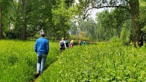 Raus ins Grüne: Waldbaden vor der Haustür