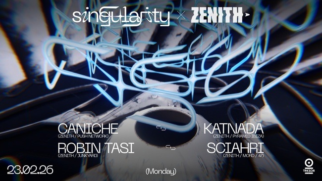 singularity x zenith