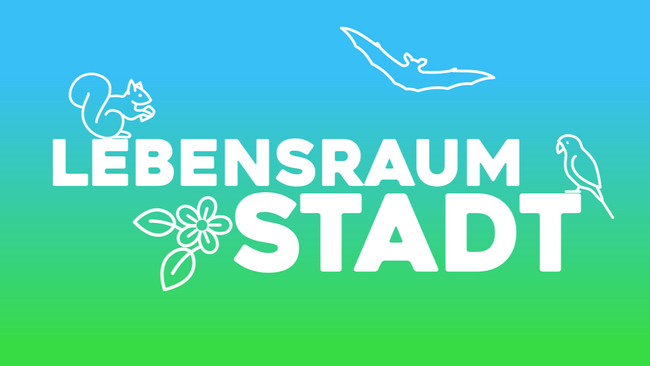 Fledermaus-Führung im Schlosspark Benrath