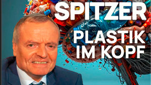 Manfred Spitzer: Plastik im Kopf