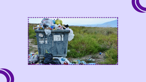 ZERO WASTE. Weniger Müll, mehr Bewusstsein – aber wie schaffen wir das wirklich?