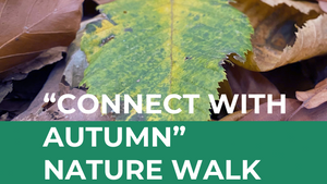 "Connect with Autumn" Nature Walk
