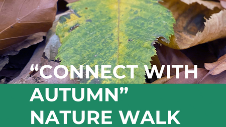 "Connect with Autumn" Nature Walk