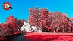 Krimi-Trail Hamburg Ottensen