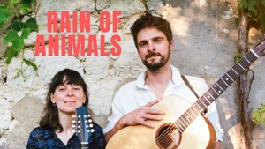 Konzert: Rain of Animals im Nox