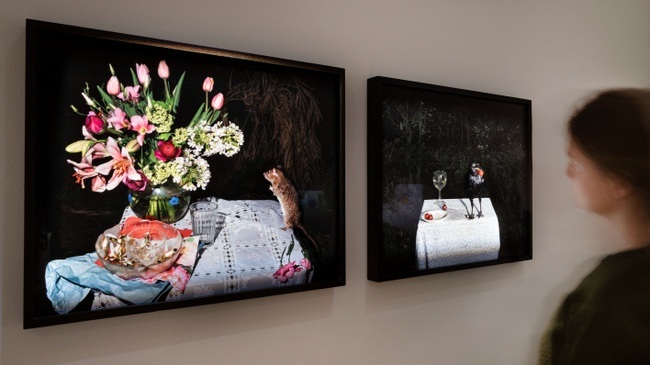 Öffentliche Führung: Lia Darjes. Plates I-XXXI