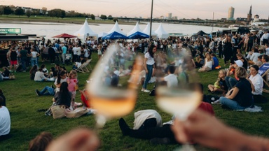 Wein am Rhein