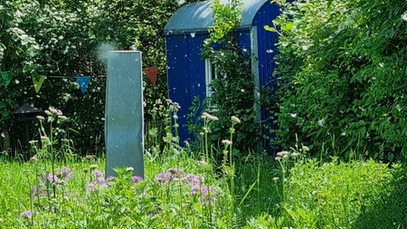 kleiner Wildkräuterspaziergang - Wildkräuterei Köln