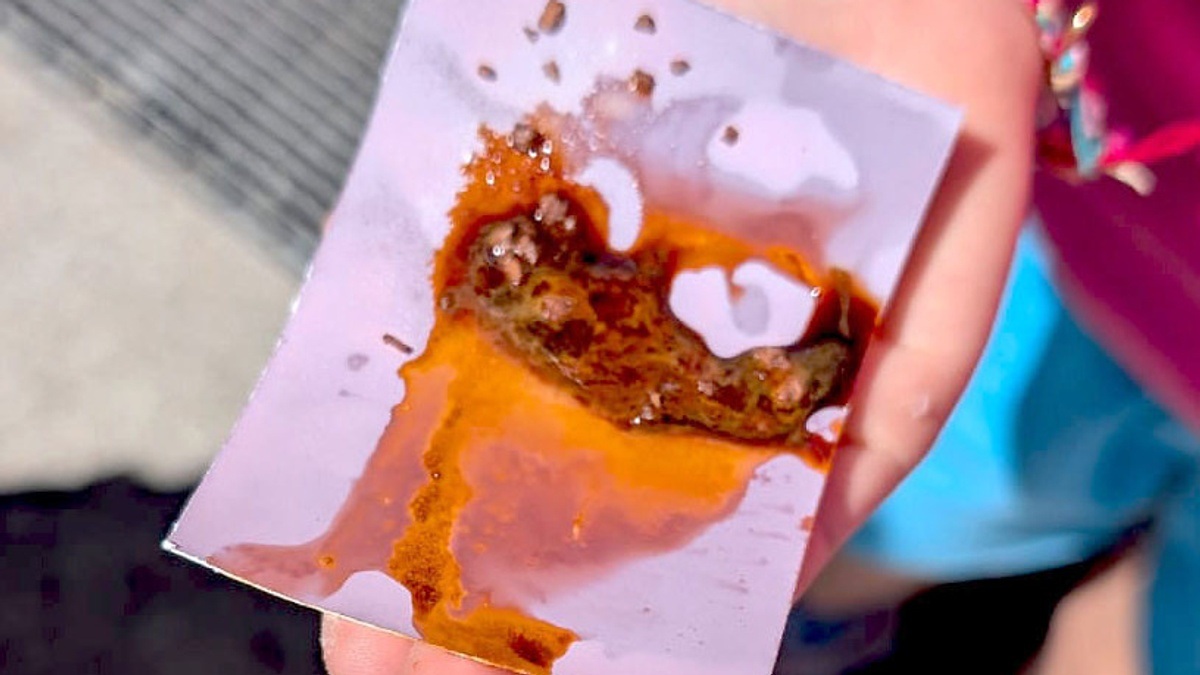 Workshop Fotoexperimente ohne Chemie mit kostenfreien Eintritt ins Museum