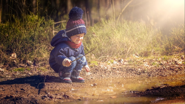 Naturworkshop: Bäume im Herbst und ihre Bewohner. Ab 4 Jahren