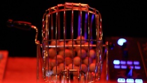 BINGO w/ FREDDY - OPEN AIR