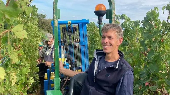 WINZER, WEIN und FLAMMKUCHEN