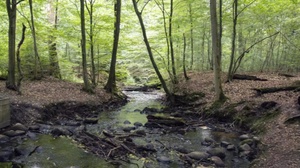3-Tage-Ferienaktion: Hamburgs Wilde Welten
