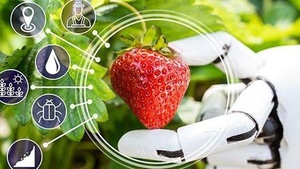 Ernährungssysteme mit Zukunft – das Essen von Morgen