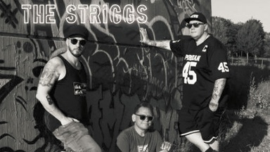 THE STRIGGS (DE) + Vaultaire (DE) - Punk'n'Roll