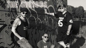 THE STRIGGS (DE) + Vaultaire (DE) - Punk'n'Roll