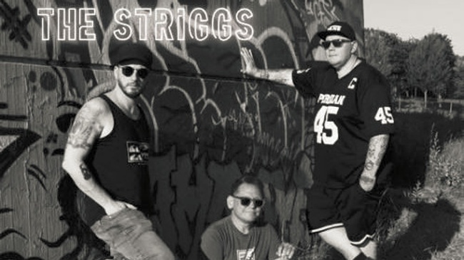 THE STRIGGS (DE) + Vaultaire (DE) - Punk'n'Roll